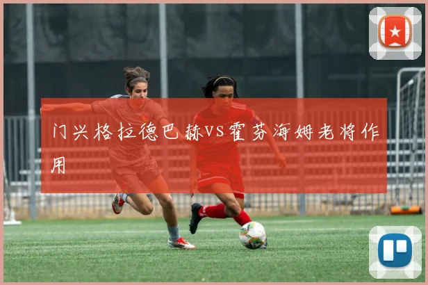 门兴格拉德巴赫vs霍芬海姆老将作用